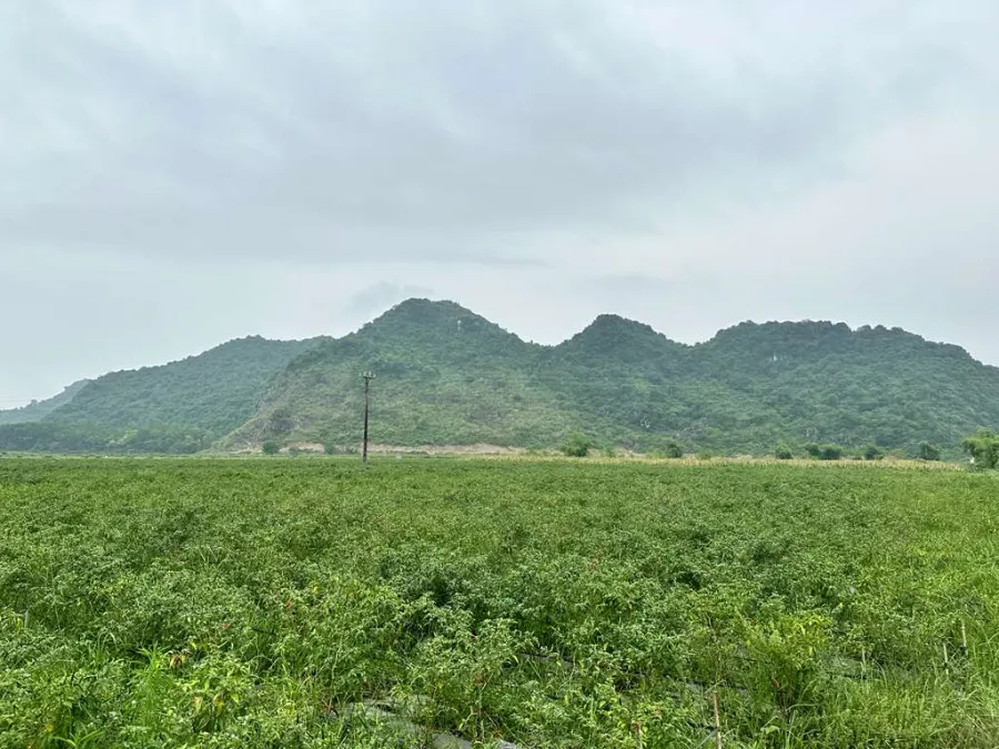 San San LLC, Vietnam